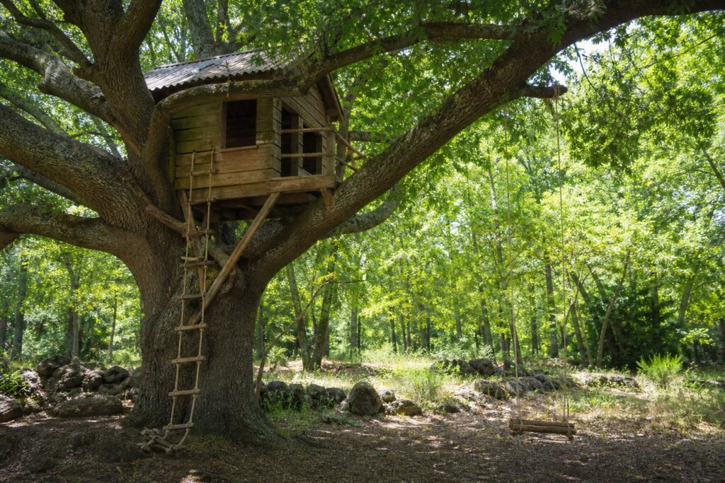 Cabane dans les arbres chene automne foret francaise