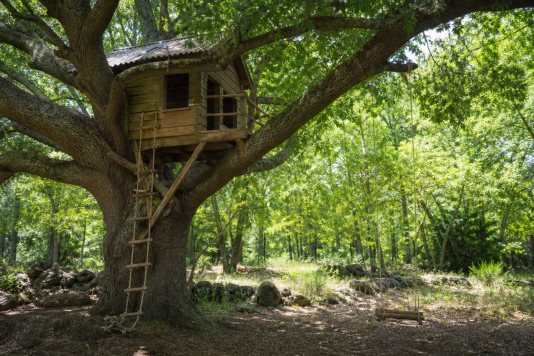 Cabane dans les arbres : prix, confort et adresses