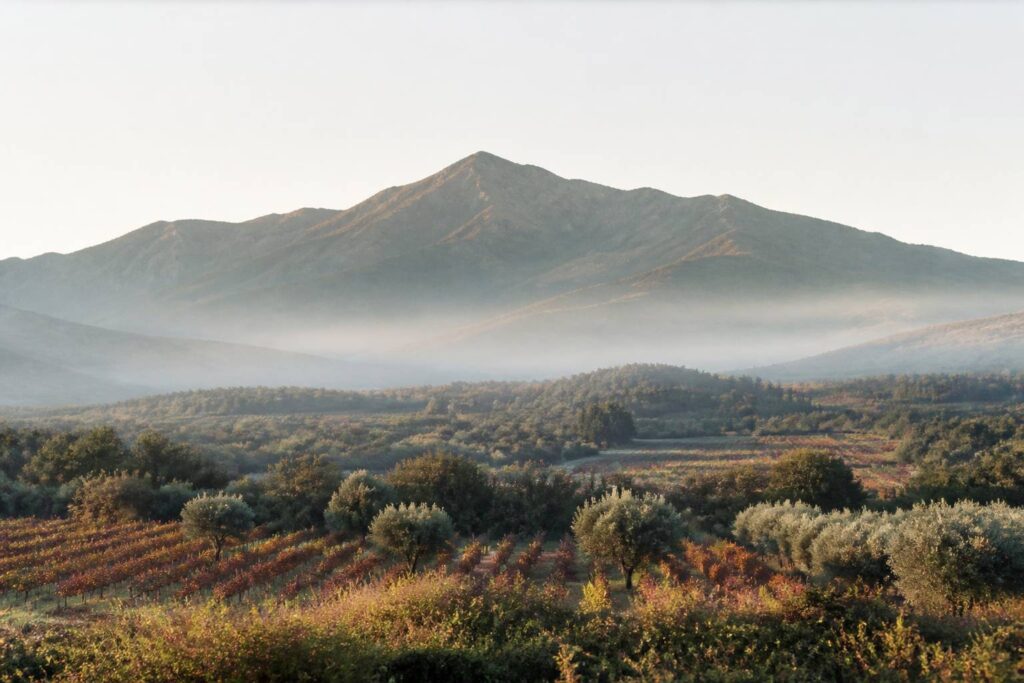 Massif du Canigou vu depuis la plaine du Roussillon au matin